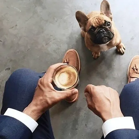 Gæstehus Urkia San Sebastián