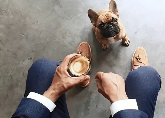 招待所 桦木旅馆 圣塞瓦斯蒂安