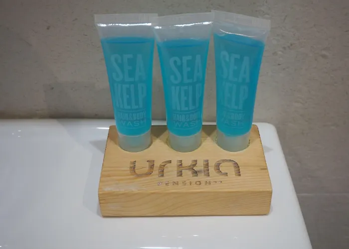 Pensjonat Urkia San Sebastián