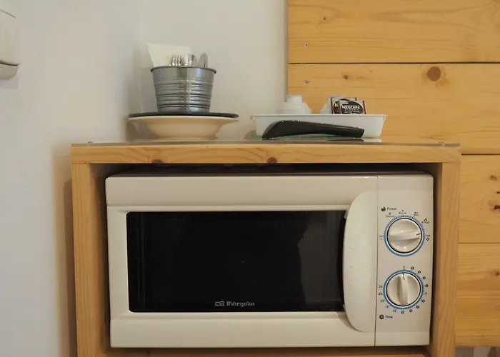 桦木旅馆 圣塞瓦斯蒂安