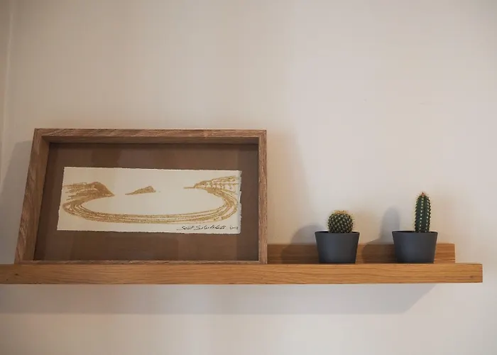 桦木旅馆 2* 圣塞瓦斯蒂安