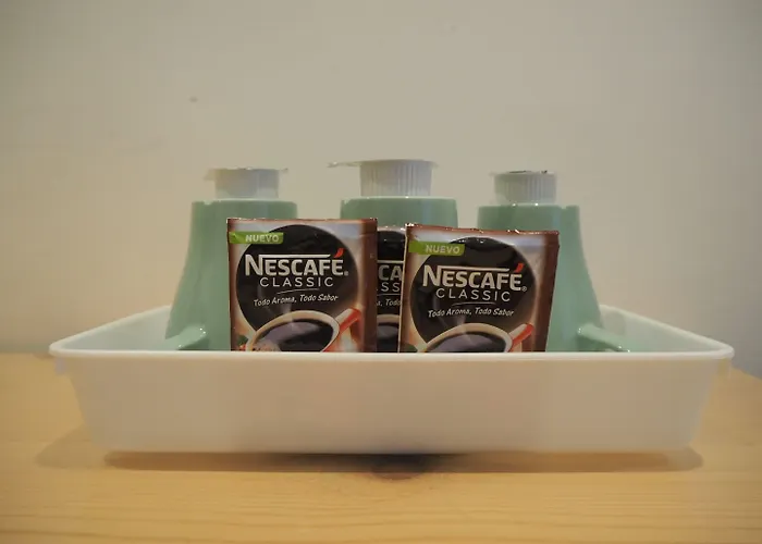 桦木旅馆 2* 圣塞瓦斯蒂安